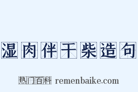 湿肉伴干柴造句是什么意思的图片